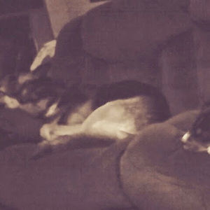 Meet your Posher, Bryan